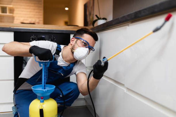 Best Local Pest Control Services  in Fenton, MI