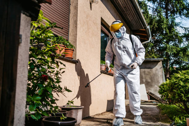 Best Emergency Pest Control  in Fenton, MI