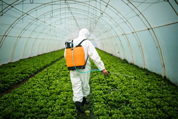 Best Affordable Pest Control Services  in Fenton, MI