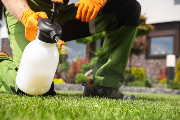 Best Pest Control Near Me  in Fenton, MI