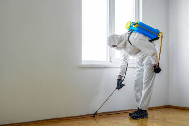 Best Local Pest Control Services  in Fenton, MI