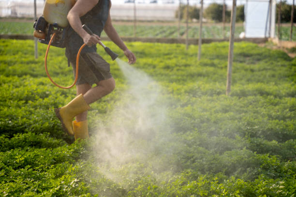 Best Pest Removal Services  in Fenton, MI