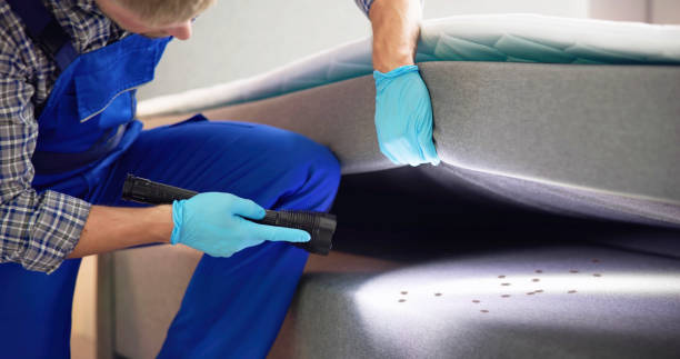 Best Termite Control Services  in Fenton, MI