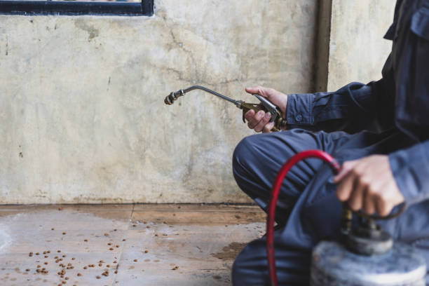 Best Commercial Pest Control Services  in Fenton, MI